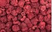 Lyophilised raspberry 90/10 - 50 g