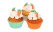 Sugar Decorations Carrots Set/16