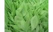 Green edible paper leaves - 500 pcs