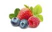 Fruit filling Forest Fruits Frutafill 6 kg