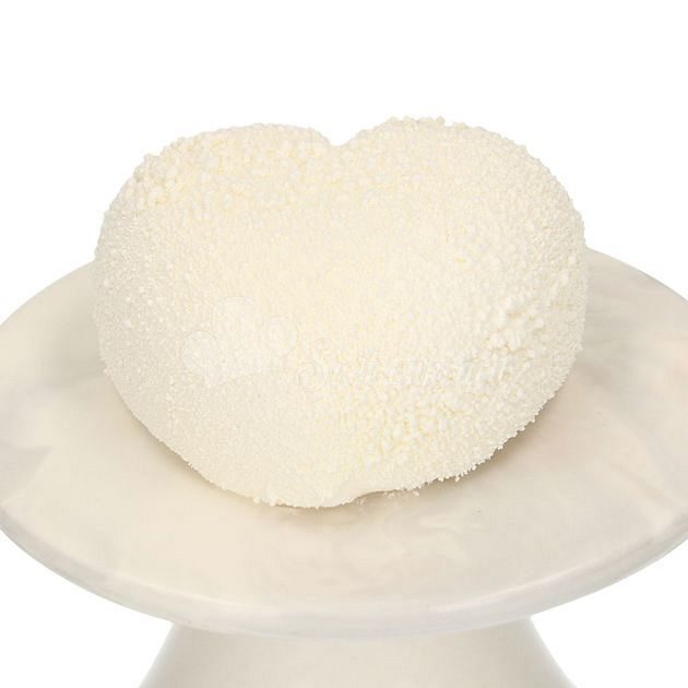 World of Confectioners - FunCakes Edible FunColours Dust - White