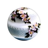 PATCHWORK CLEMATIS & LEAVES