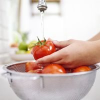 ORION STAINLESS STEEL COLANDER 25.5 CM