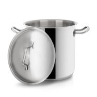 STOCK POT WITH LID 4.5 L
