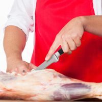 KUCHYŇSKÝ NŮŽ VYKOSŤOVACÍ MASTER 15,5 CM