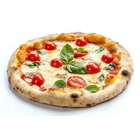 SMĚS PIZZA K50 CREDIN - 1 KG