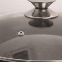 GRANDE FRYING PAN WITH NON-STICK SURFACE 28 CM + GLASS LID