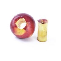APPLE CORER - PITTER
