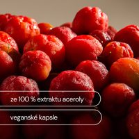 VITAMÍN C - 120 KAPSÚL