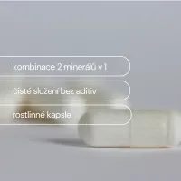 ZINEK S MĚDÍ 90 KAPSLÍ