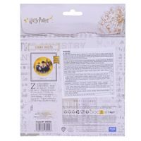 EDIBLE CAKE TOPPER HARRY POTTER - 15 CM