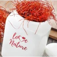 EHETŐ SZÁRÍTOTT CHILI SZÁLAK – 20 G