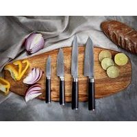 DAMASCUS STAINLESS STEEL KITCHEN KNIFE 9 CM KONSTANZ CS SOLINGEN CS-071349