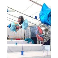 MODRÁ METALICKÁ HVIEZDA