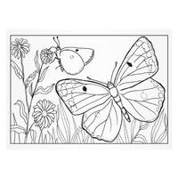 OMAĽOVÁNKY MOTÝLE