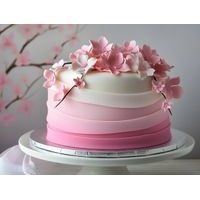 K2 CAKE COATING 0,5KG RUŽOVÁ - K2