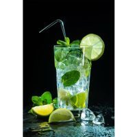 IMMORTAL STAINLESS STEEL STRAW - SET OF 4 - 21,5 CM + CLEANING BRUSH