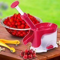 CHERRY AND SOUR CHERRY PITTER PLASTIC 141789