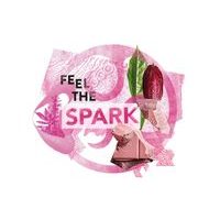 PRAVÁ RŮŽOVÁ ČOKOLÁDA - RUBY CALLETS - 250 G