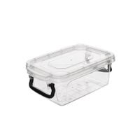 PRIEHĽADNÝ PLASTOVÝ BOX OBDĹŽNIKOVÝ NÍZKY 0,3 L