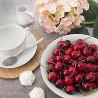 MLIEČNIK MONA 0,1 L