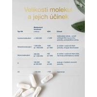 HYALURONIC ACID (3X90 CAPSULES)