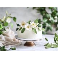 MODELLEZŐ ÉS BEVONÓ ANYAG FEHÉR TOP MODEL - MANDULA ÍZ1 KG