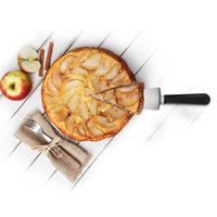 LOPATKA NA DEZERTY A DORTY 12 CM