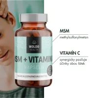 MSM S VITAMÍNEM C - 180 KAPSLÍ