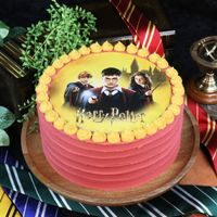 EDIBLE CAKE TOPPER HARRY POTTER - 20 CM