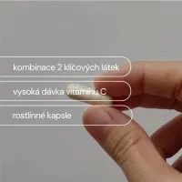 MSM S VITAMÍNEM C - 180 KAPSLÍ