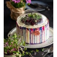 SEXY CAKES - JOSEF MARŠÁLEK