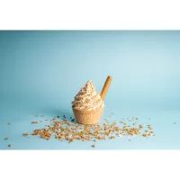 POSYP SLANÝ KARAMEL – KARAMELOVÁ DRŤ 250 G