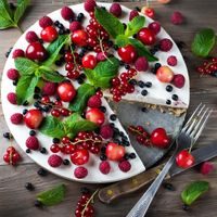 24 CM ROUND CAKE BAKING PAN