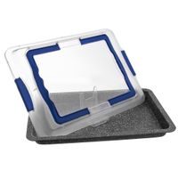 CARRYING PAN WITH LID AND HANDLES GRANDE - 42X29 CM