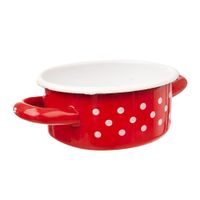 KASTROL SMALT TEČKA 0,6 L TM1