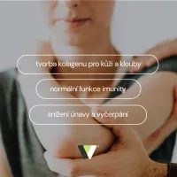 MSM S VITAMÍNEM C - 180 KAPSLÍ