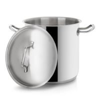 STOCK POT WITH LID 11 L