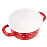 KASTROL SMALT TEČKA 0,6 L TM1