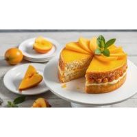 NÁPLŇ MANGO - MARAKUJA  6 KG