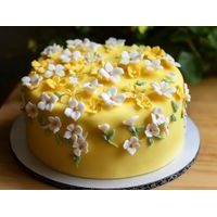 POŤAH NA TORTU K2 0,5KG ŽLTÝ - K2