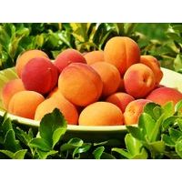 MERUŇKOVÁ OCHUCOVACÍ PASTA S KOUSKY - 200 G