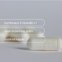 ZINEK S MĚDÍ 90 KAPSLÍ