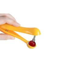 ODPECKOVAČ TŘEŠNÍ Z PLASTU