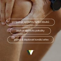 100% HOVÄDZÍ KOLAGÉN 1KG