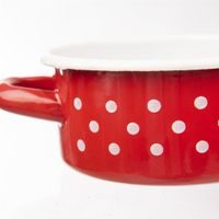 KASTROL SMALT TEČKA 0,6 L TM1