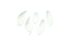 Bílá peříčka – cukrová dekorace na dort