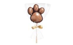 Chocolate lollipop dark/milk - paw
