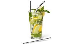 Stainless Steel Drinking Straws Set of 4 with Brush