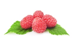 Fruit filling Raspberry 1 kg